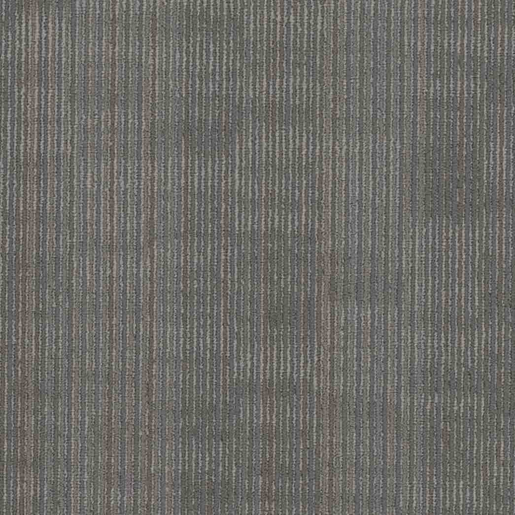 Shaw Philadelphia Commercial Carpet Tile Encode 54926 Code 00502