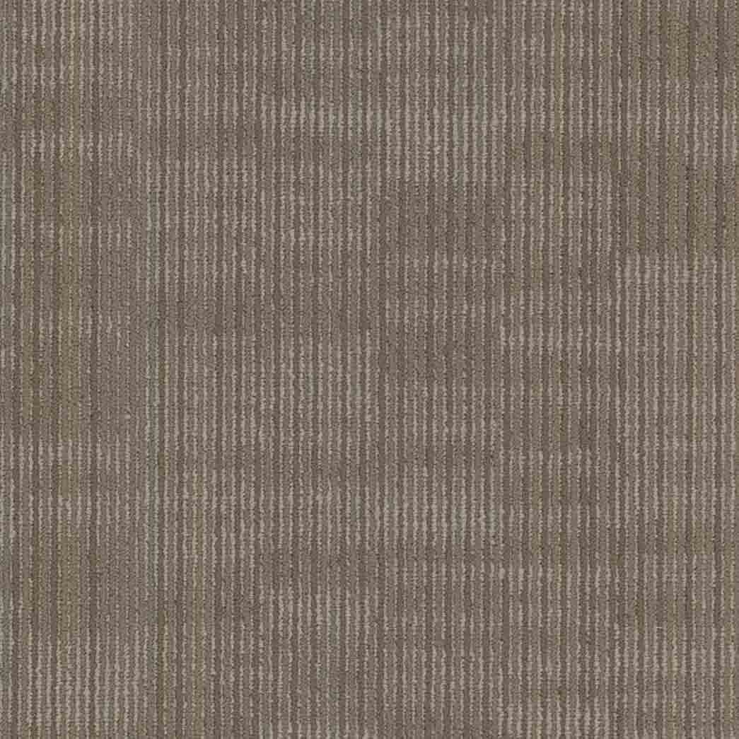 Shaw Philadelphia Commercial Carpet Tile Encode 54926 Cyber 00210