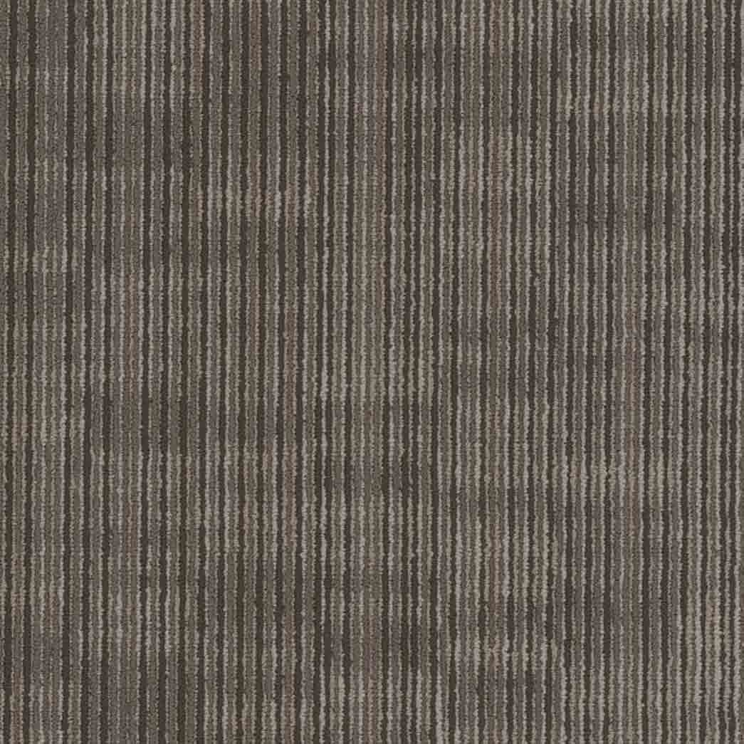 Shaw Philadelphia Commercial Carpet Tile Encode 54926 Digital 00700