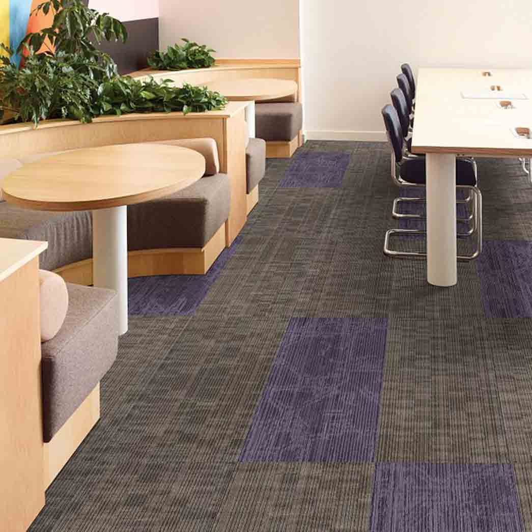 Shaw Philadelphia Commercial Carpet Tile Encode 54926 Digital 00700 room
