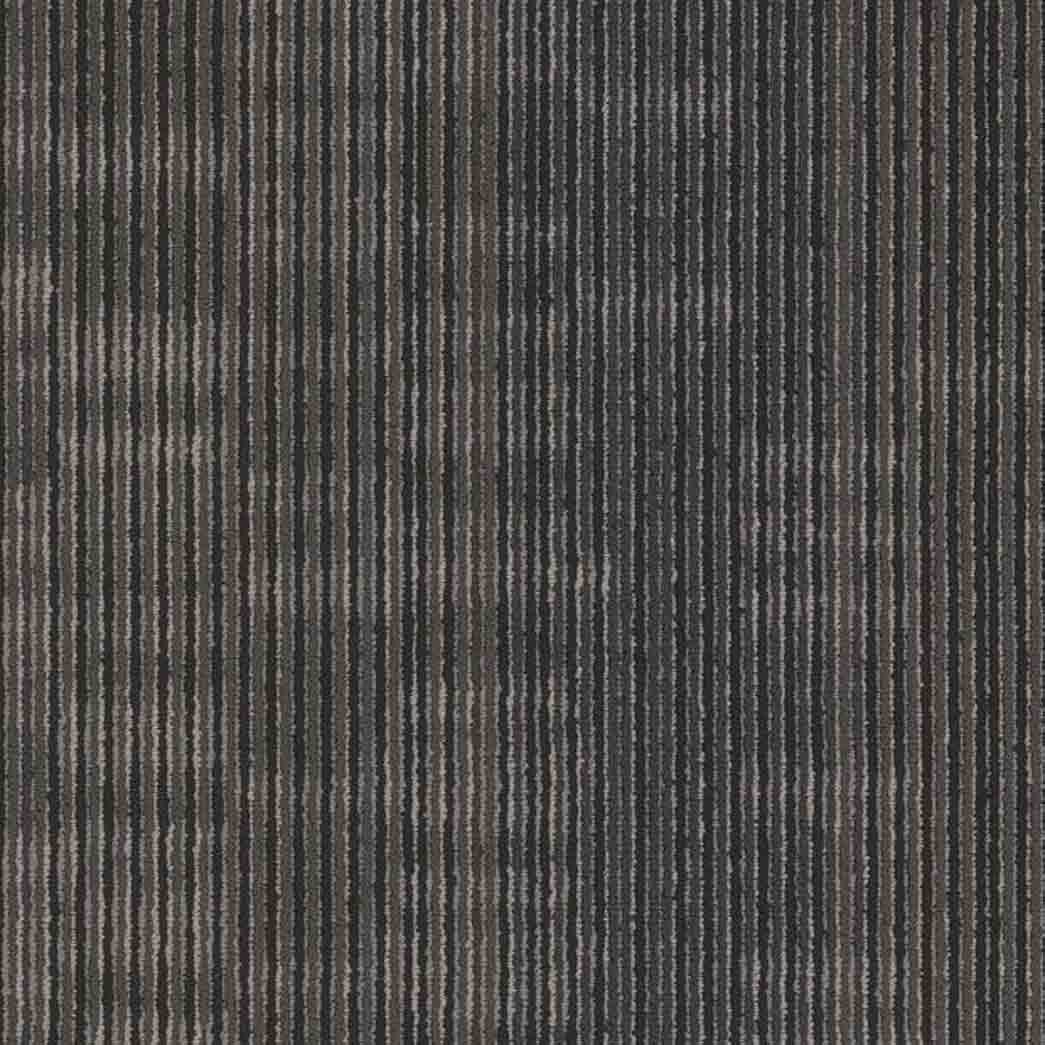 Shaw Philadelphia Commercial Carpet Tile Encode 54926 Futuristic 00510