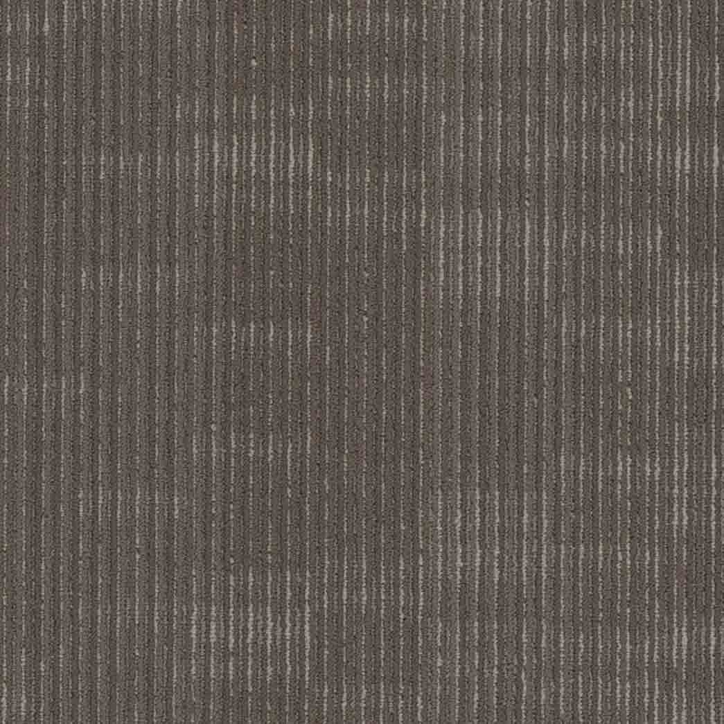 Shaw Philadelphia Commercial Carpet Tile Encode 54926 Identity 00708
