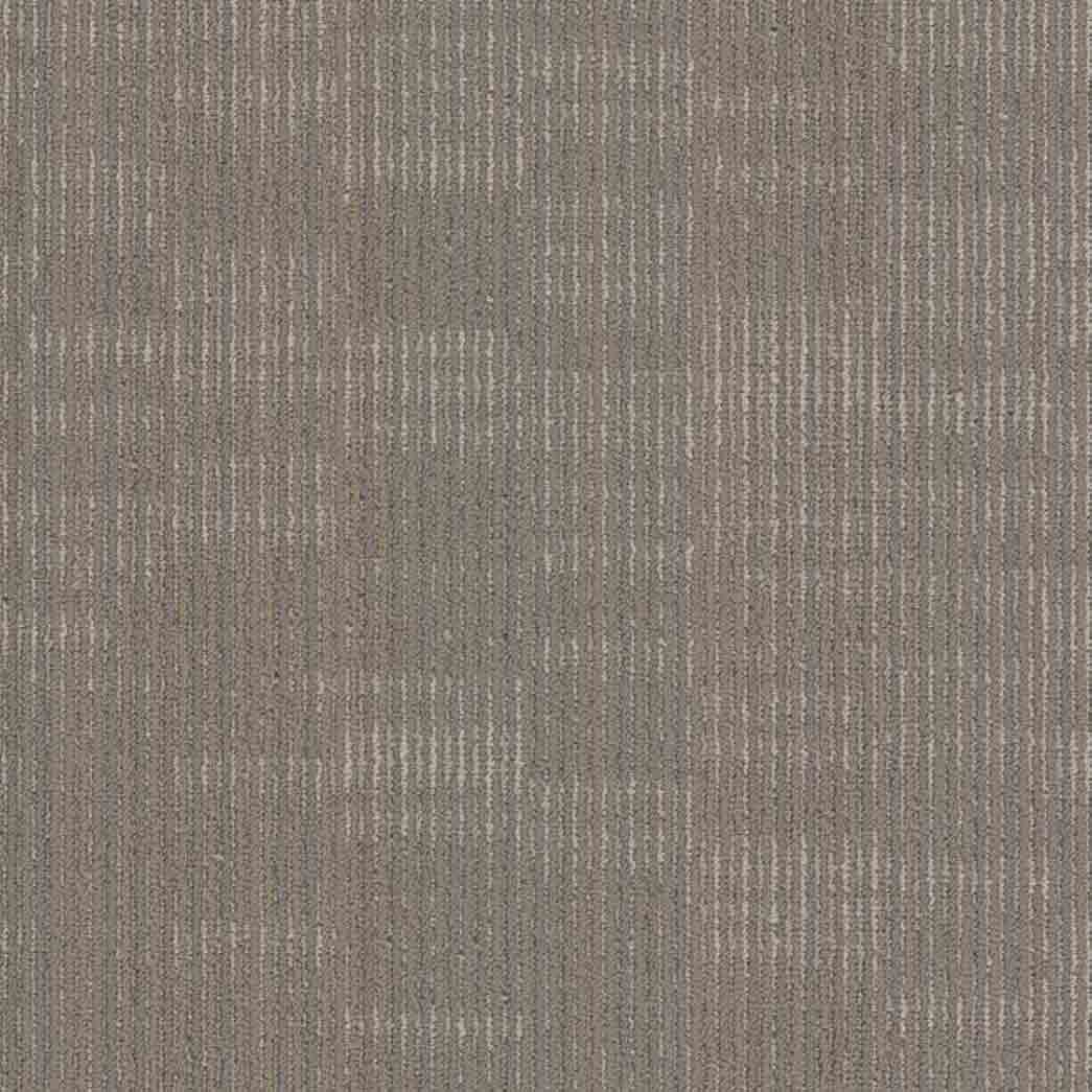 Shaw Philadelphia Commercial Carpet Tile Encode 54926 Symbols 00500