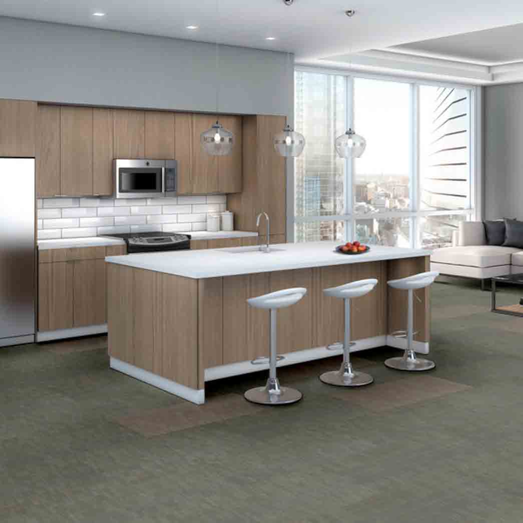 Shaw Philadelphia Commercial Carpet Tile Encode 54926 Symbols 00500 room