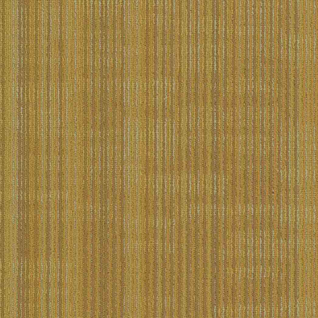 Shaw Philadelphia Commercial Carpet Tile Encode 54926 Vector 00200