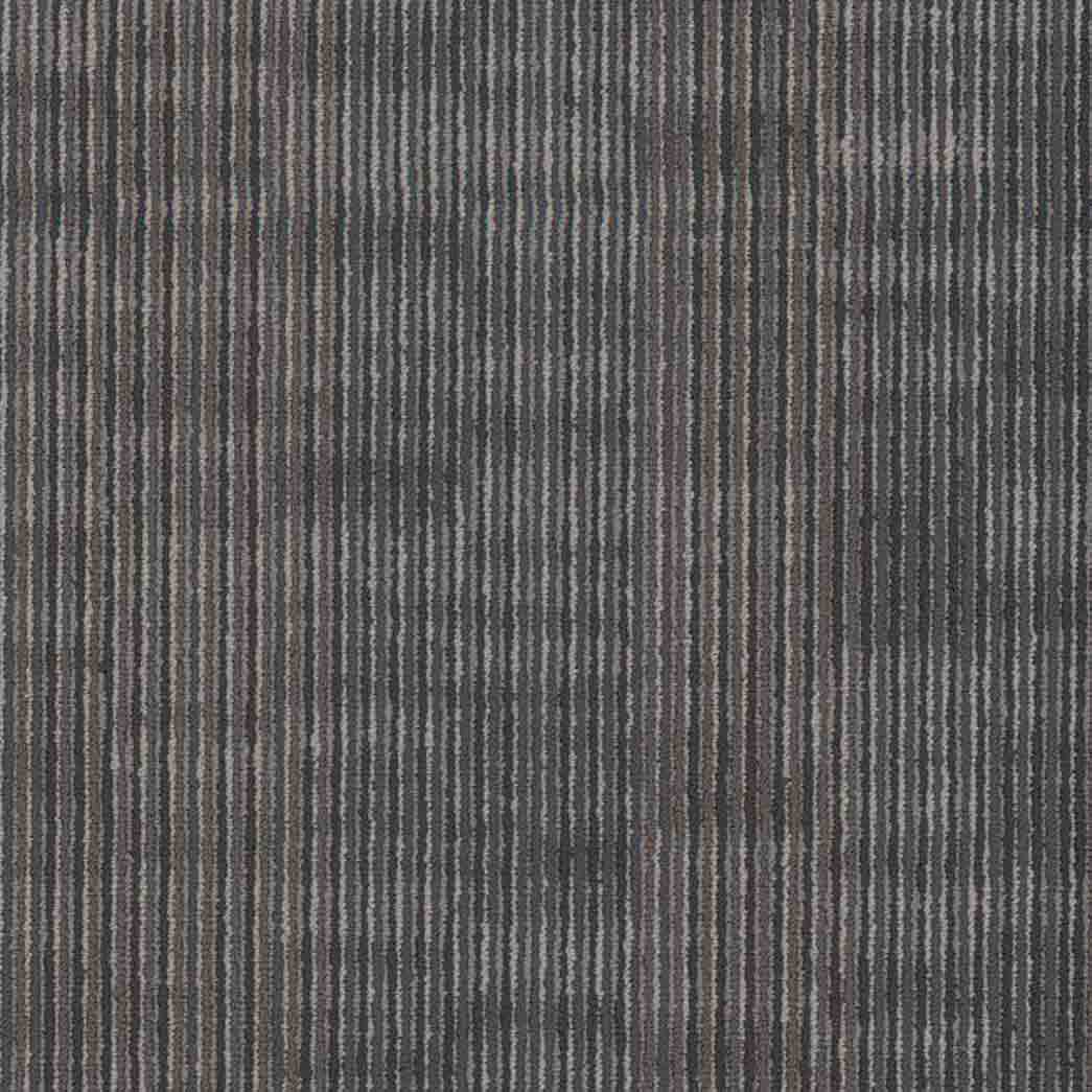Shaw Philadelphia Commercial Carpet Tile Encode 54926 Virtual 00505