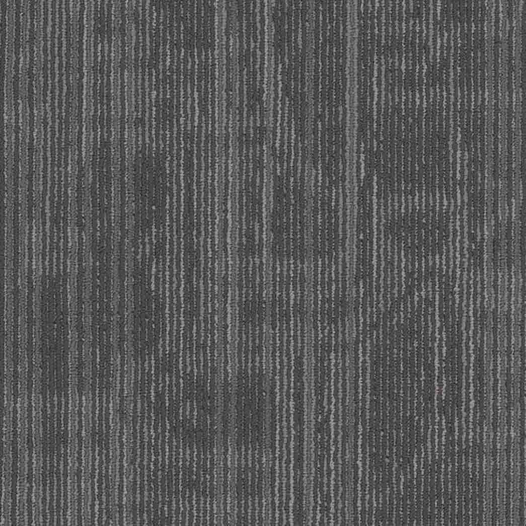 Shaw Philadelphia Commercial Carpet Tile Encrypt 54927 Circuit 00503