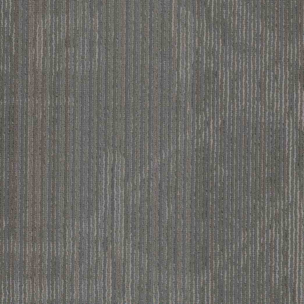 Shaw Philadelphia Commercial Carpet Tile Encrypt 54927 Code 00502
