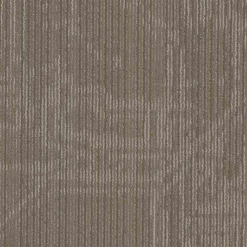 Shaw Philadelphia Commercial Carpet Tile Encrypt 54927 Cyber 00210