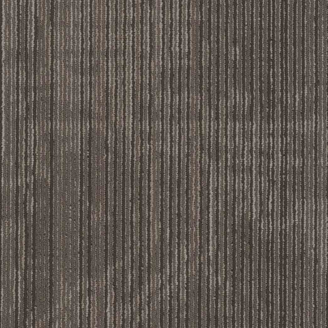 Shaw Philadelphia Commercial Carpet Tile Encrypt 54927 Digital 00700
