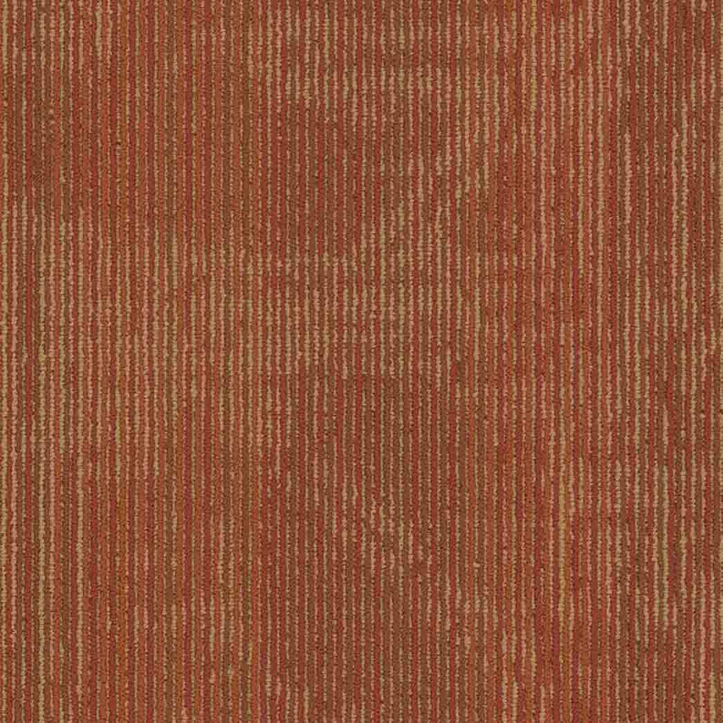 Shaw Philadelphia Commercial Carpet Tile Encrypt 54927 Electro 00600