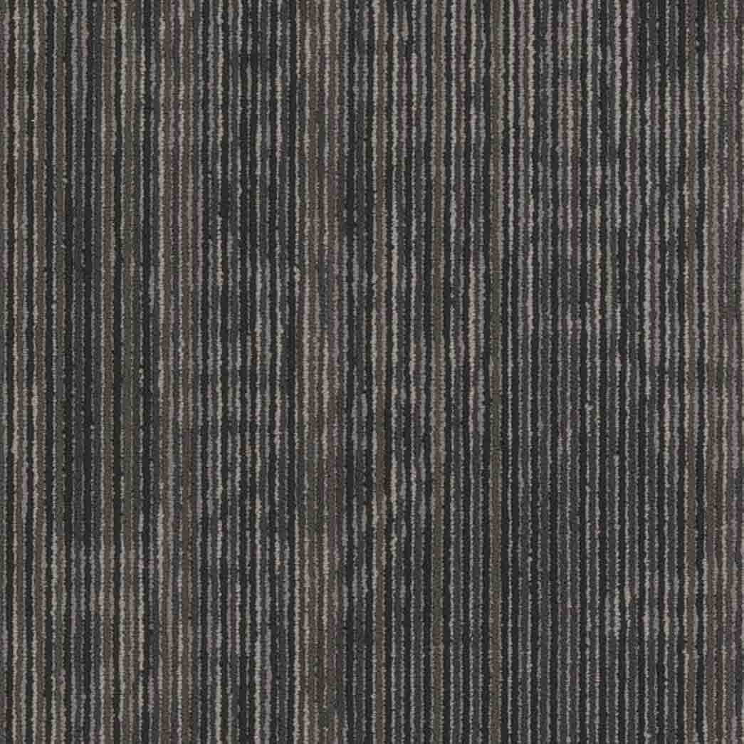 Shaw Philadelphia Commercial Carpet Tile Encrypt 54927 Futuristic 00510