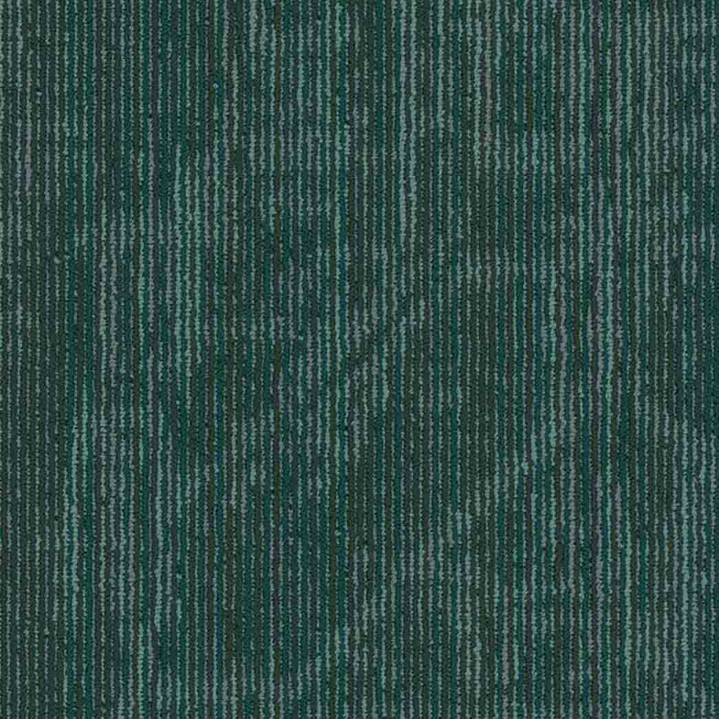 Shaw Philadelphia Commercial Carpet Tile Encrypt 54927 Hologram 00300