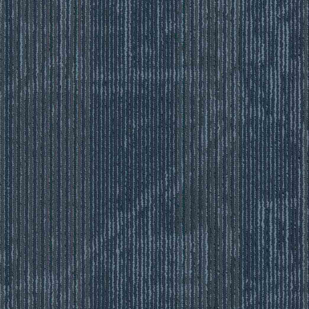 Shaw Philadelphia Commercial Carpet Tile Encrypt 54927 Metrics 00400