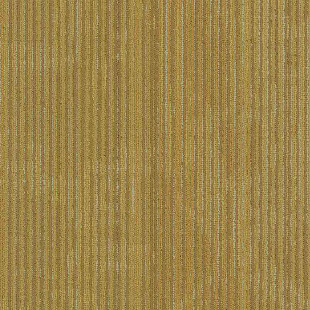 Shaw Philadelphia Commercial Carpet Tile Encrypt 54927 Vector 00200
