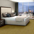 Shaw Philadelphia Commercial Carpet Tile Encrypt 54927 Vector 00200 room