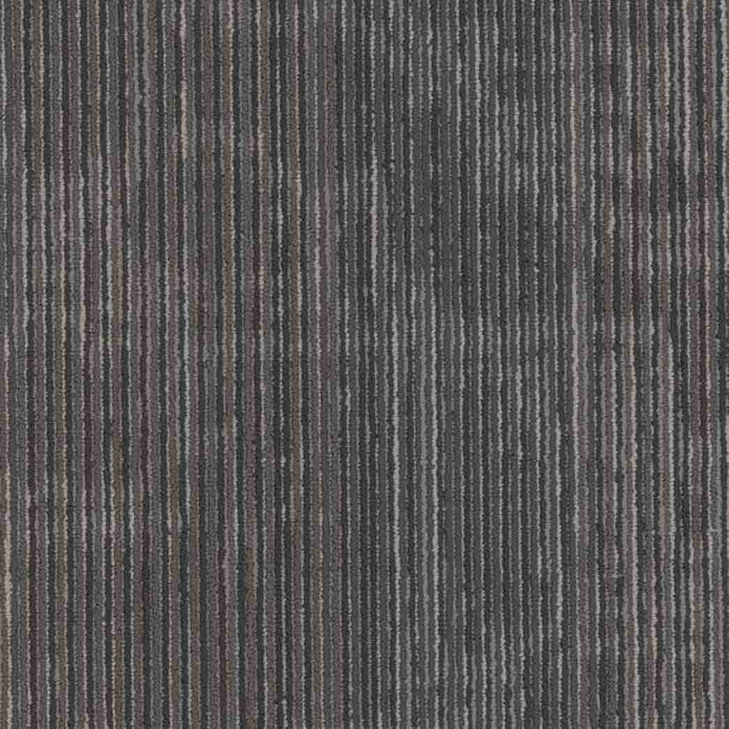 Shaw Philadelphia Commercial Carpet Tile Encrypt 54927 Virtual 00505