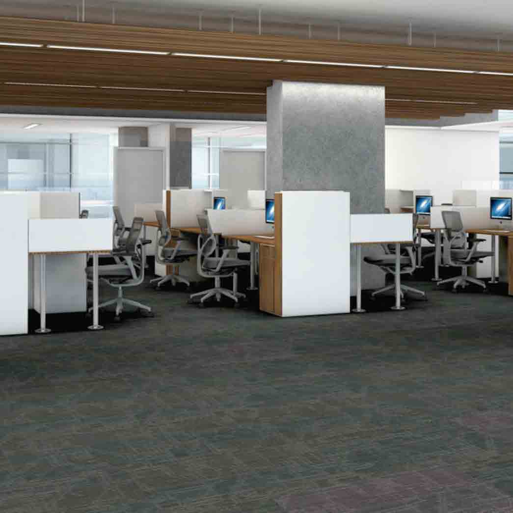 Shaw Philadelphia Commercial Carpet Tile Encrypt 54927 Virtual 00505 room