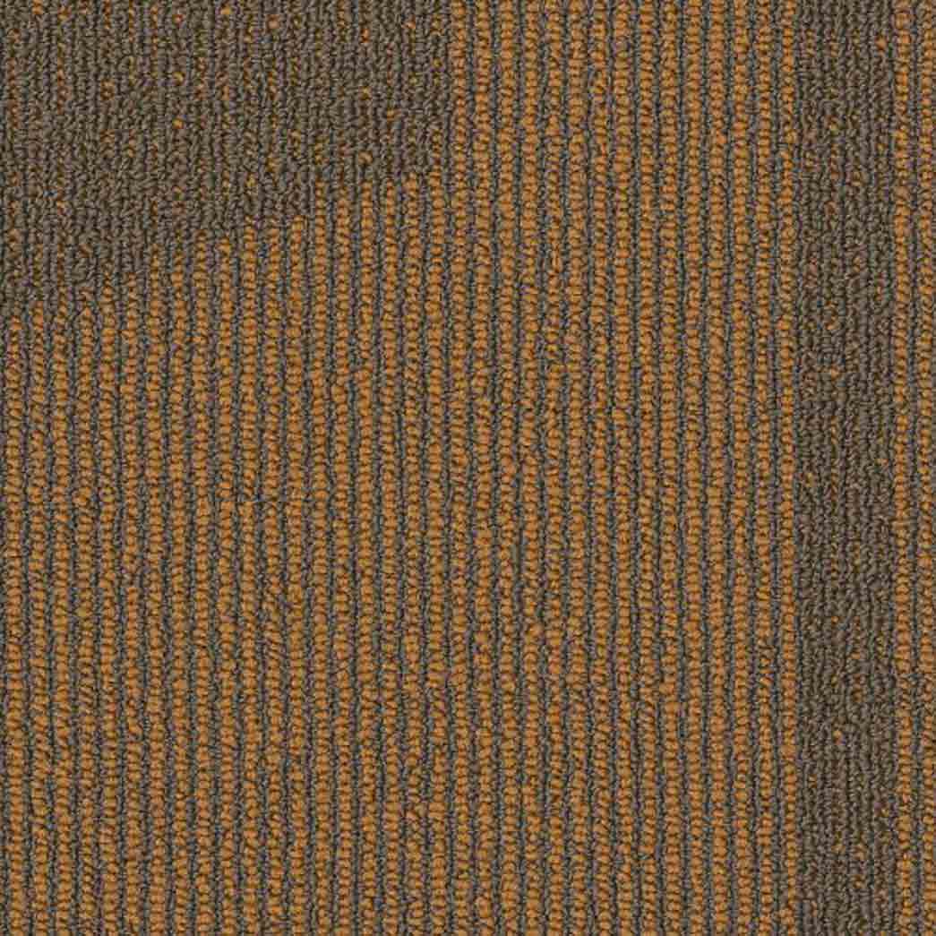 Shaw Philadelphia Commercial Carpet Tile Expressionist 54944 Fabulous 00712