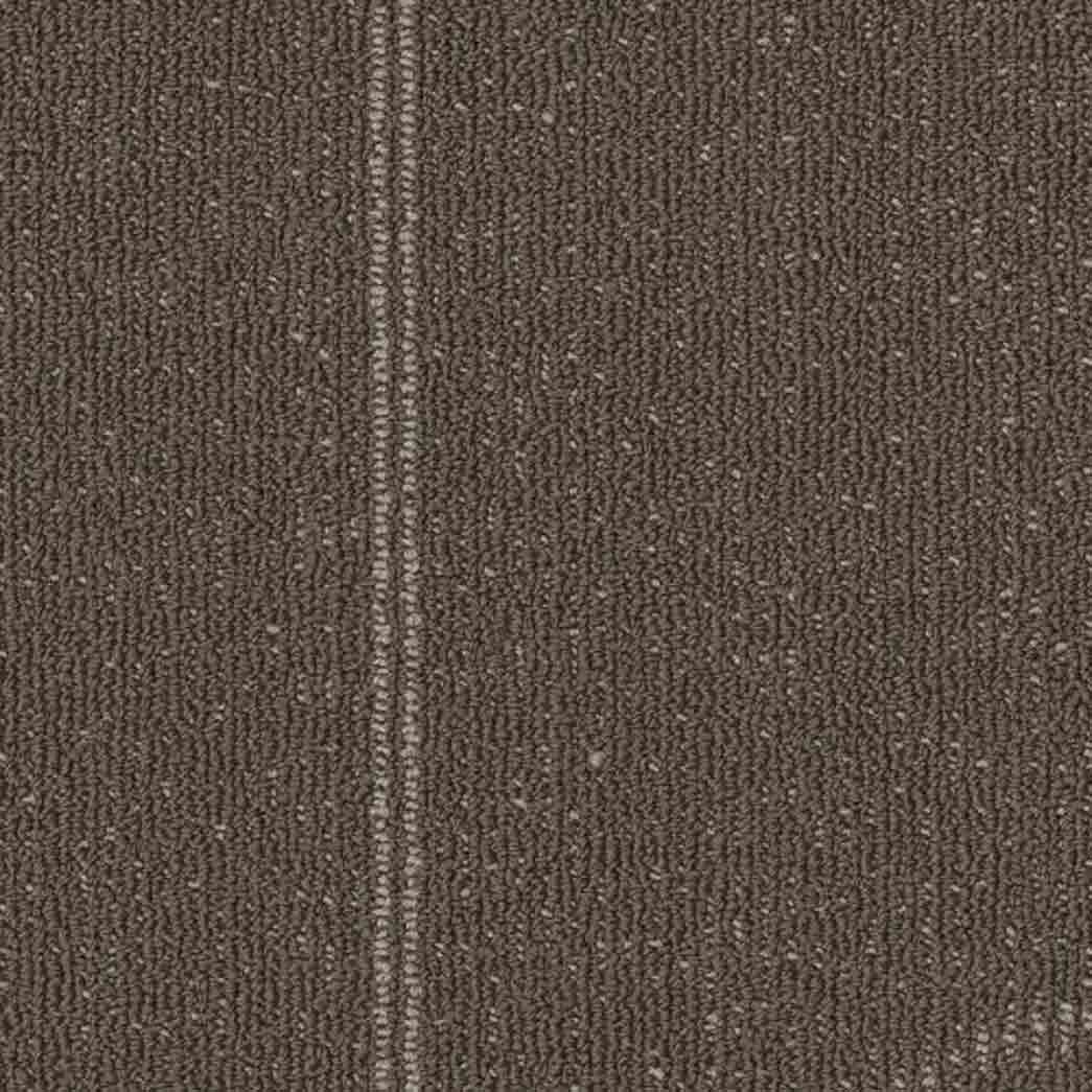 Shaw Philadelphia Commercial Carpet Tile Expressionist 54944 Fad 00702