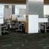Shaw Philadelphia Commercial Carpet Tile Expressionist 54944 In Vogue 00715 room
