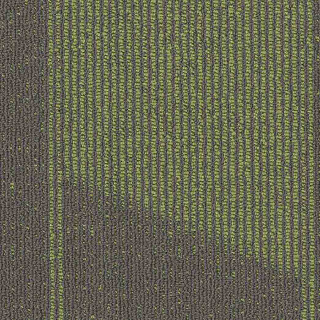 Shaw Philadelphia Commercial Carpet Tile Expressionist 54944 Modish 00512