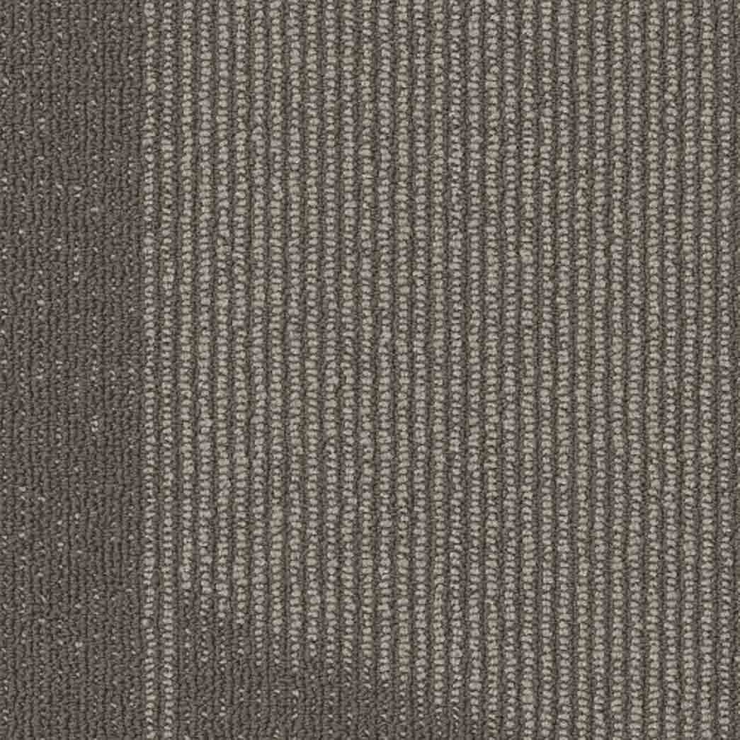 Shaw Philadelphia Commercial Carpet Tile Expressionist 54944 Smart 00502