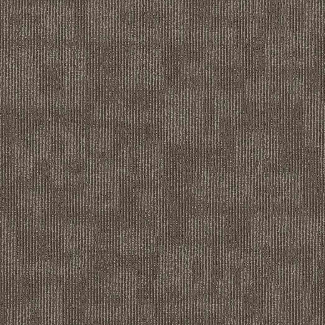 Shaw Philadelphia Commercial Carpet Tile Forma 54948 Alliance 00700