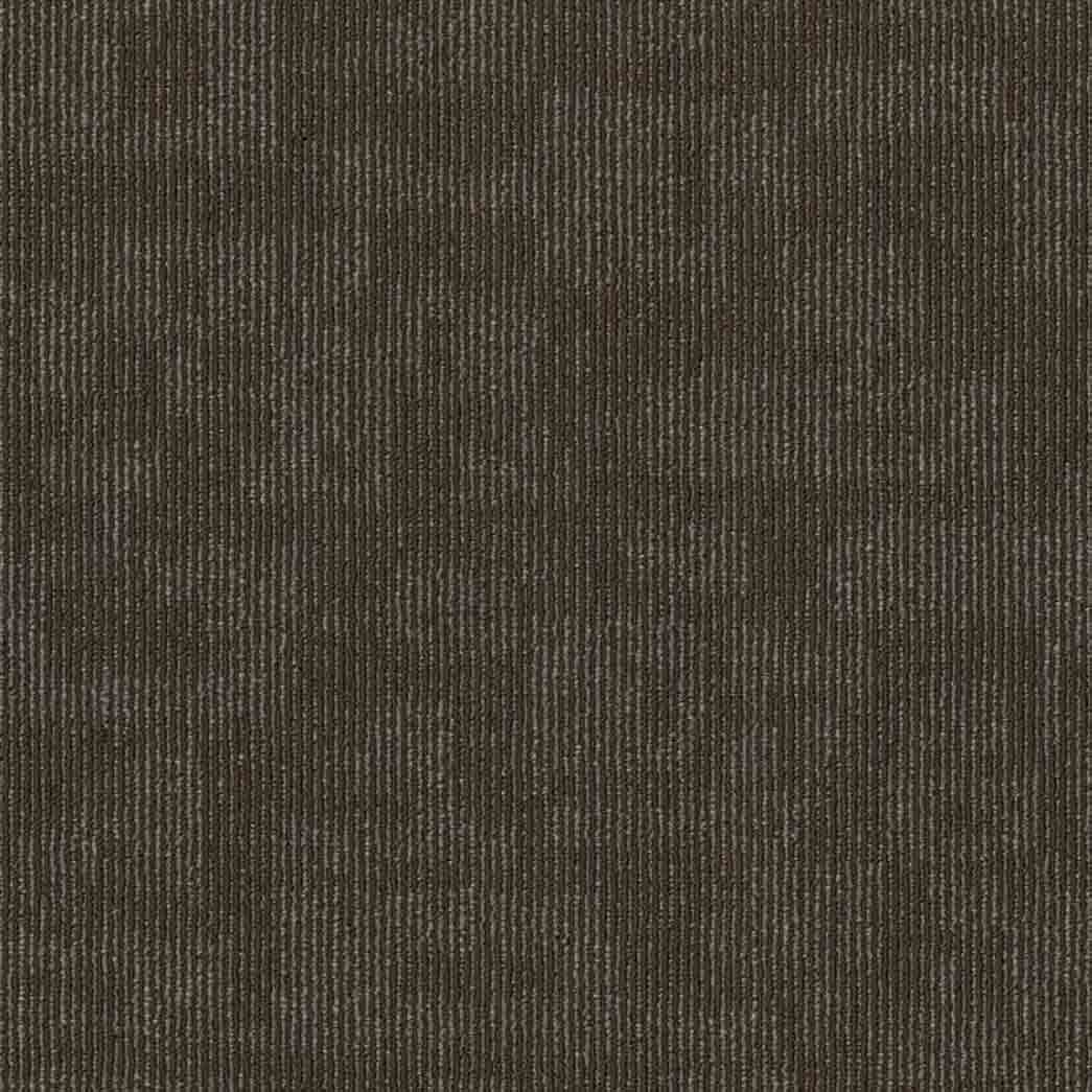 Shaw Philadelphia Commercial Carpet Tile Forma 54948 Comparison 00705