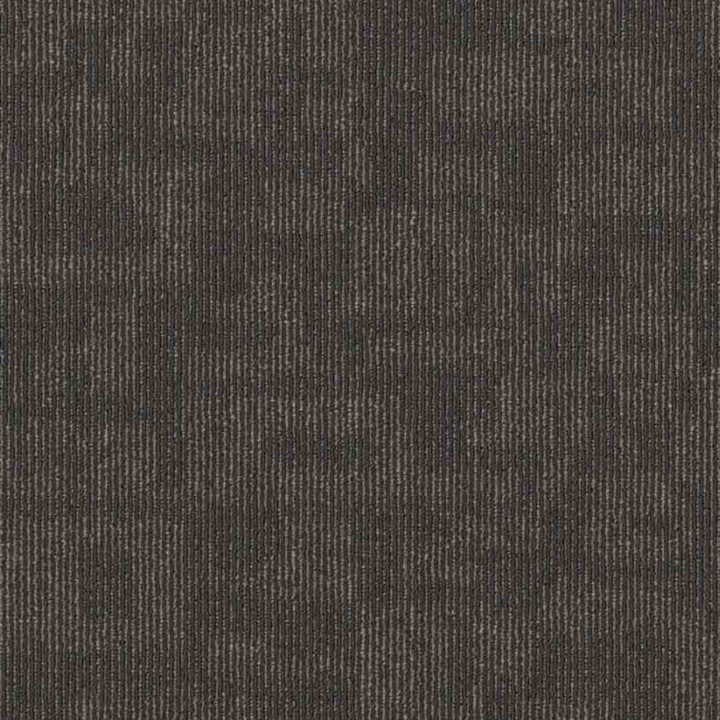 Shaw Philadelphia Commercial Carpet Tile Forma 54948 Connection 00510