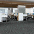 Shaw Philadelphia Commercial Carpet Tile Inked 55003 Jaded Grove 00300 room