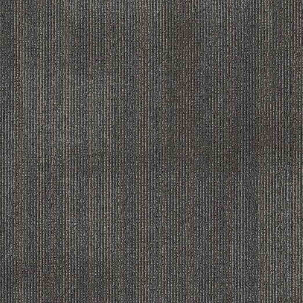 Shaw Philadelphia Commercial Carpet Tile Mask 54977 Feathered 00500