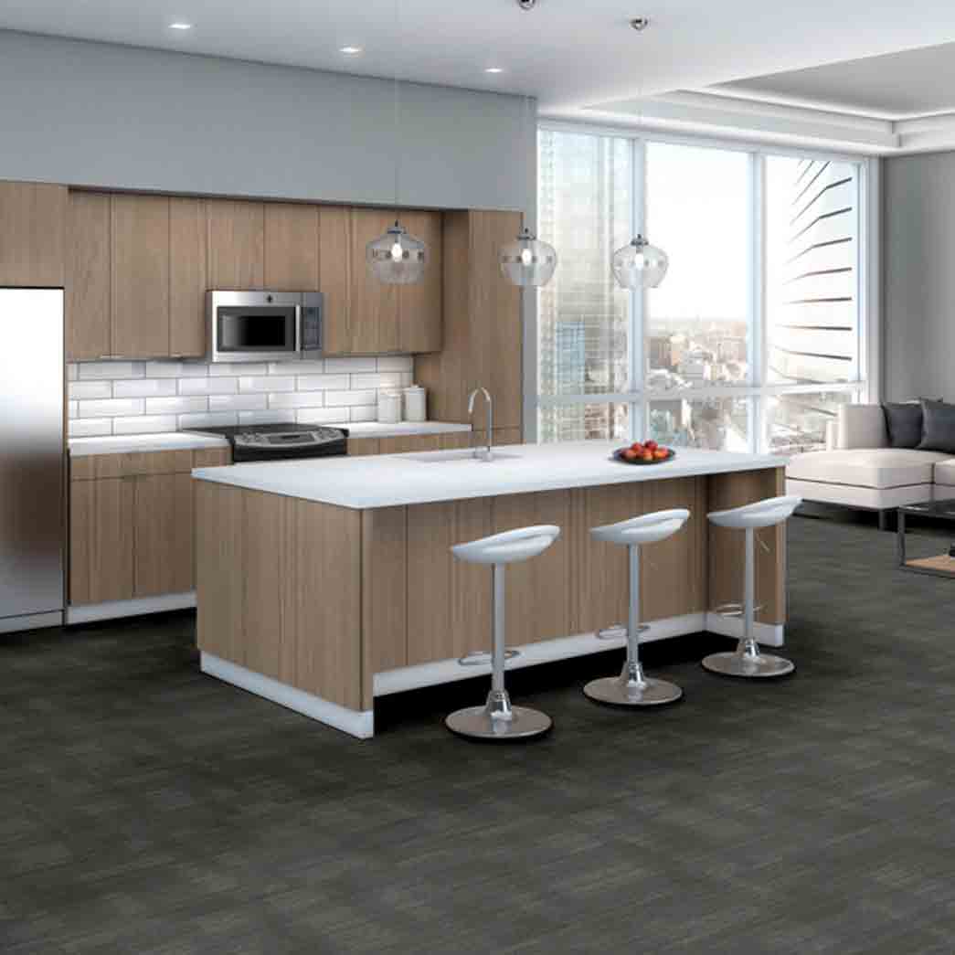 Shaw Philadelphia Commercial Carpet Tile Mask 54977 Feathered 00500 room