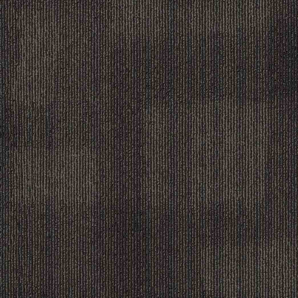 Shaw Philadelphia Commercial Carpet Tile Mask 54977 Freestyle 00515