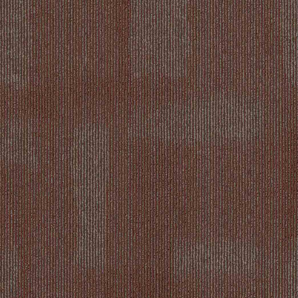 Shaw Philadelphia Commercial Carpet Tile Mask 54977 Speedweave 00800