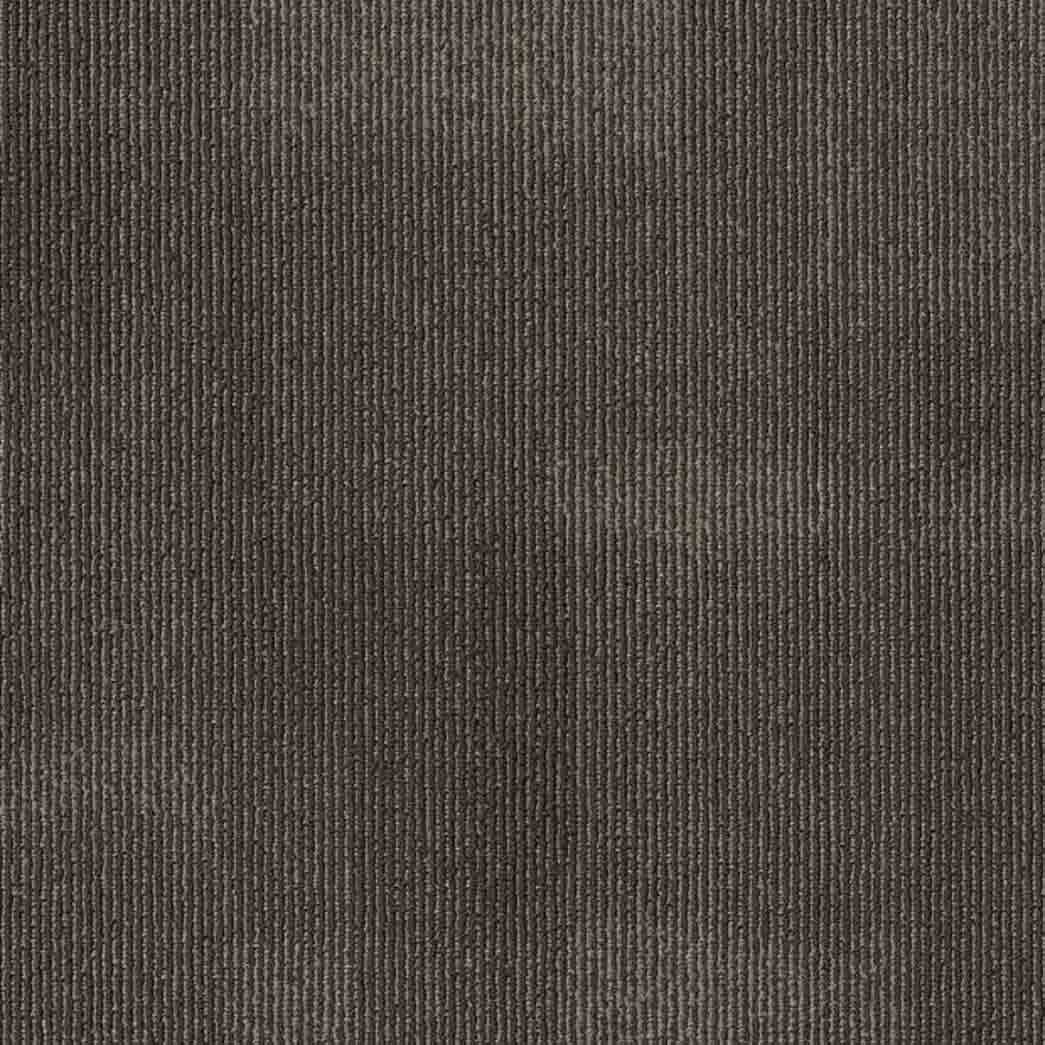 Shaw Philadelphia Commercial Carpet Tile Mask 54977 Spun 00705