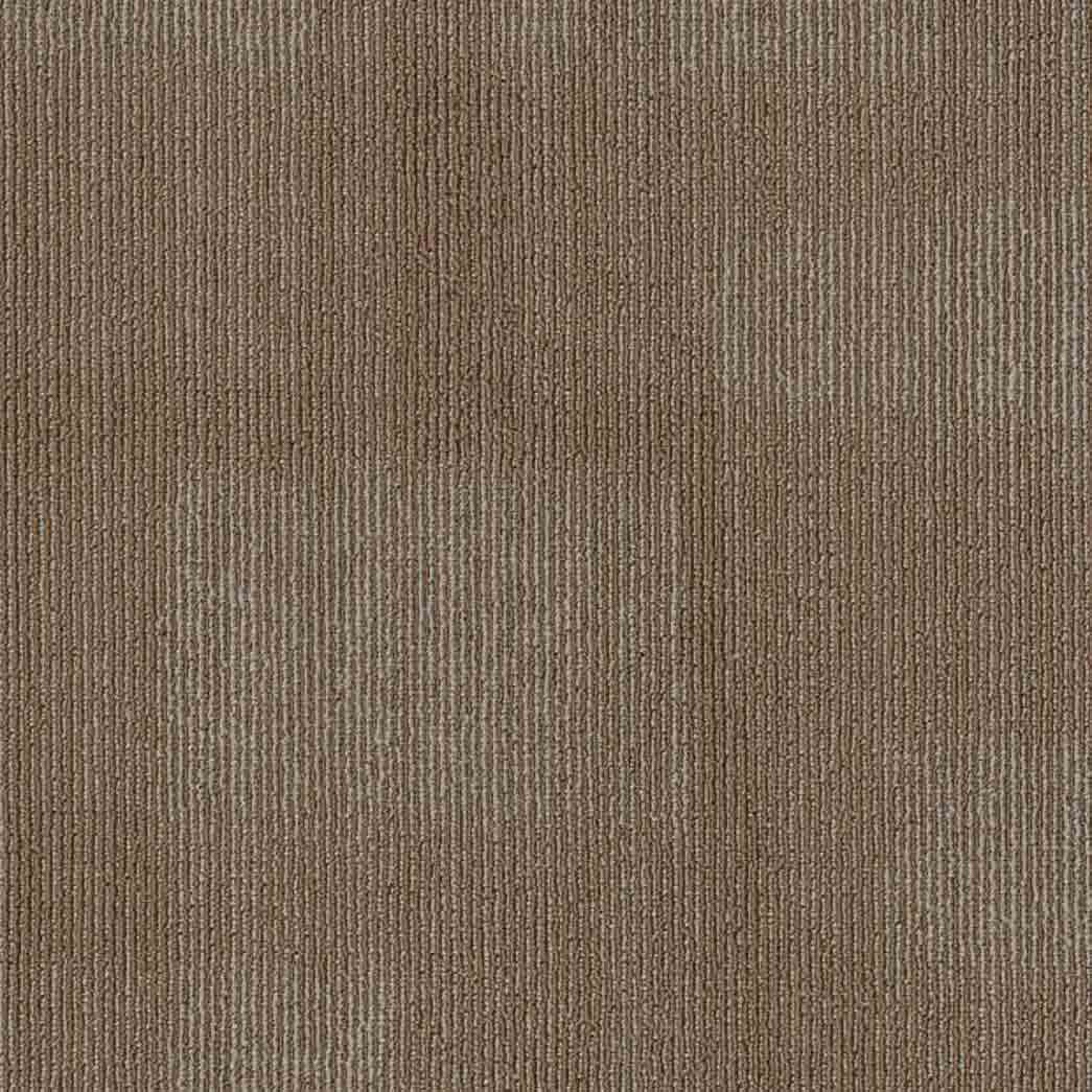 Shaw Philadelphia Commercial Carpet Tile Mask 54977 Weaved 00205