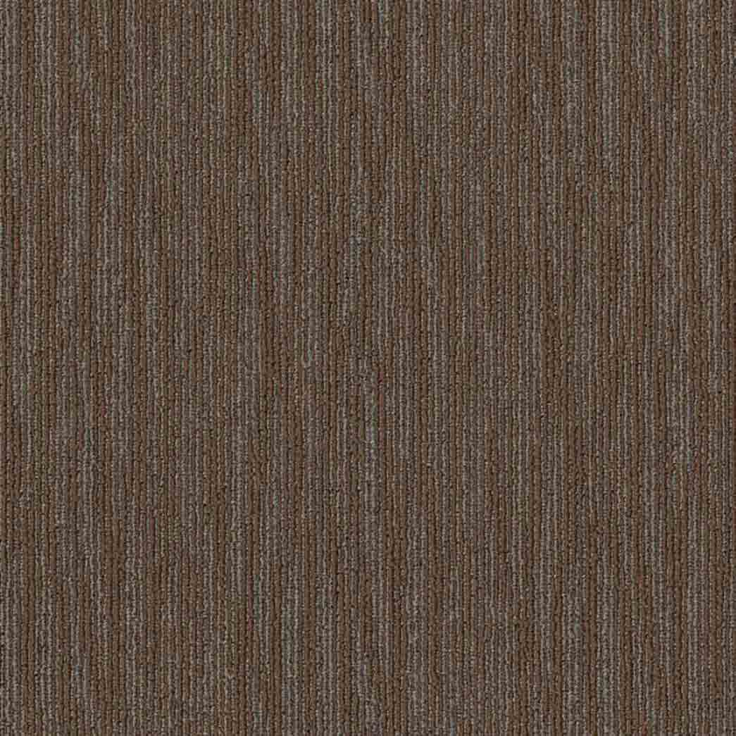 Shaw Philadelphia Commercial Carpet Tile Mend 54978 Crisscross 00605