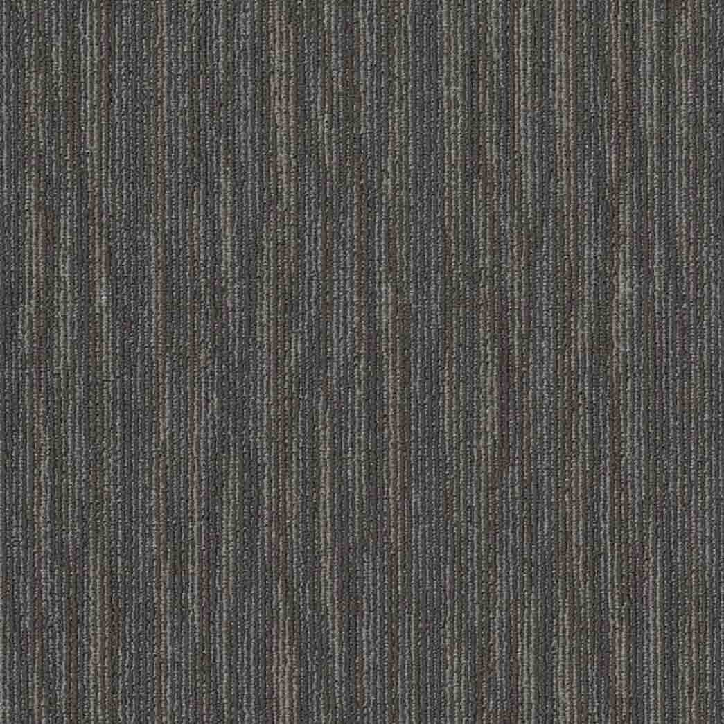 Shaw Philadelphia Commercial Carpet Tile Mend 54978 Feathered 00500