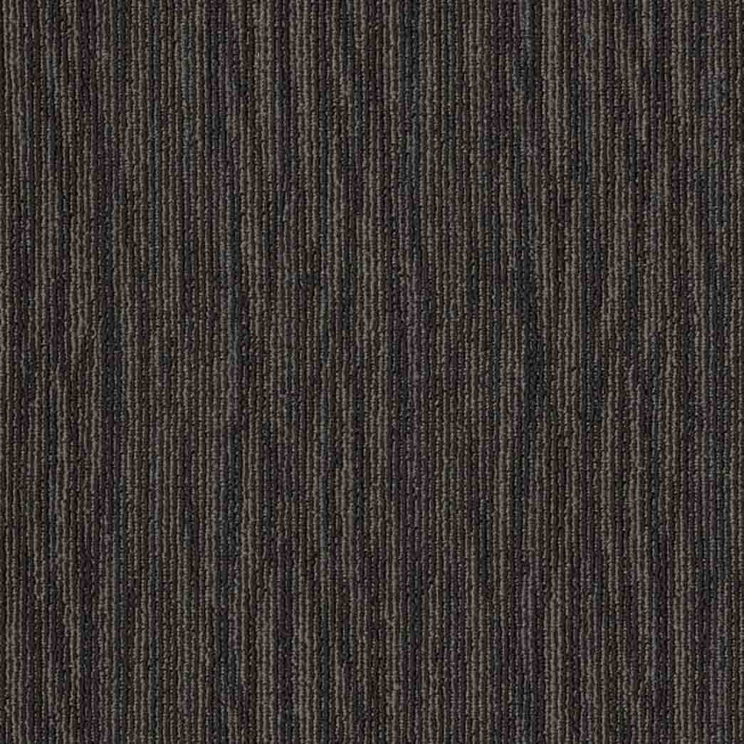 Shaw Philadelphia Commercial Carpet Tile Mend 54978 Freestyle 00515