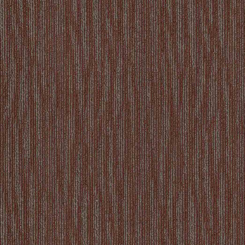 Shaw Philadelphia Commercial Carpet Tile Mend 54978 Speedweave 00800