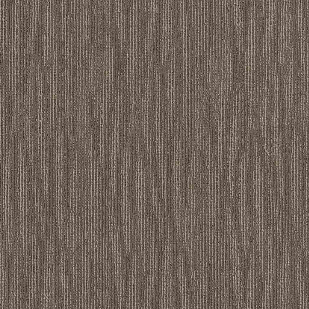 Shaw Philadelphia Commercial Carpet Tile Mend 54978 Stitched 00200