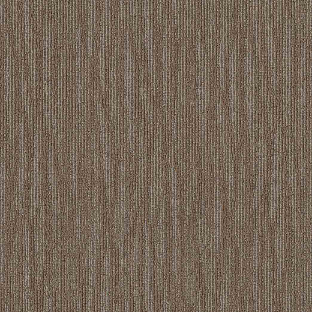 Shaw Philadelphia Commercial Carpet Tile Mend 54978 Weaved 00205