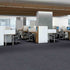 Shaw Philadelphia Commercial Carpet Tile Mend 54978 Wrapped 00410 room