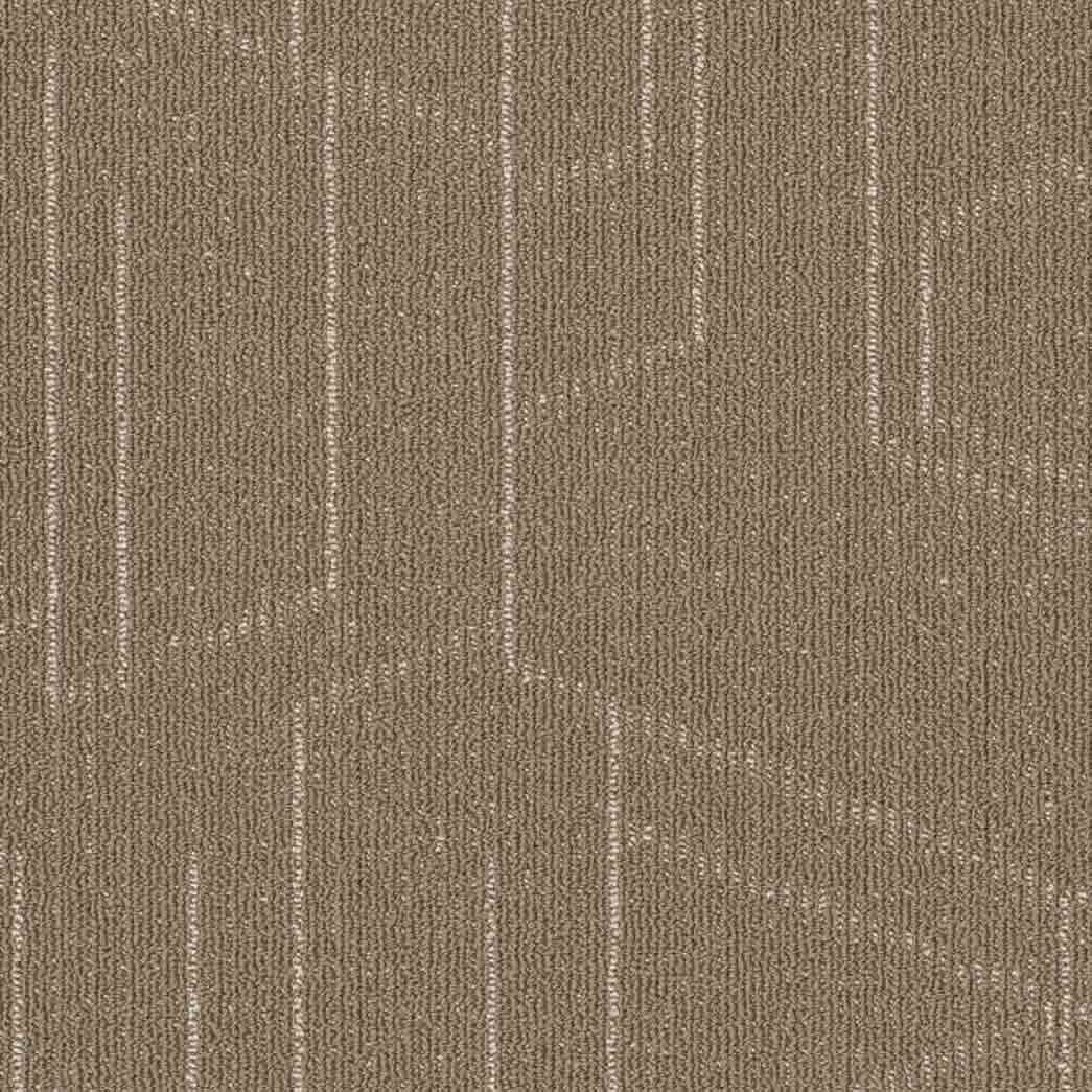 Shaw Philadelphia Commercial Carpet Tile Modernist 54945 Artistic 00200