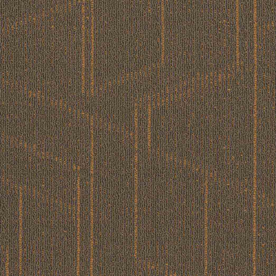 Shaw Philadelphia Commercial Carpet Tile Modernist 54945 Fabulous 00712
