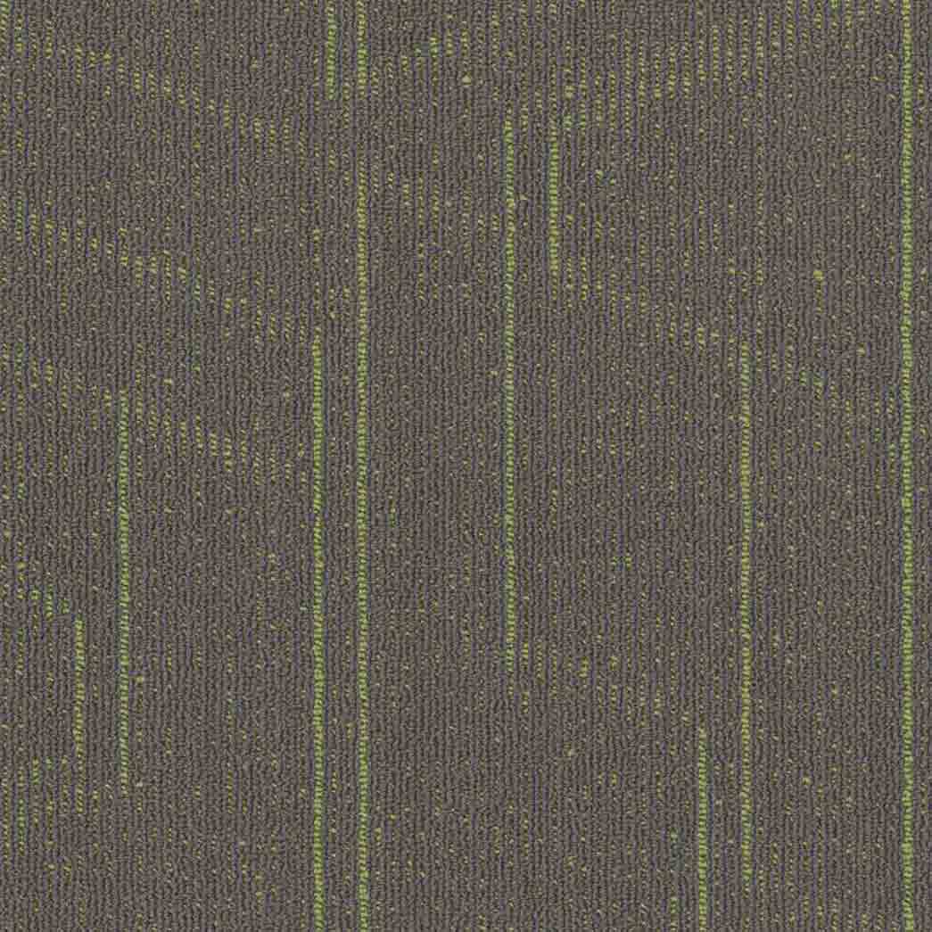 Shaw Philadelphia Commercial Carpet Tile Modernist 54945 Modish 00512