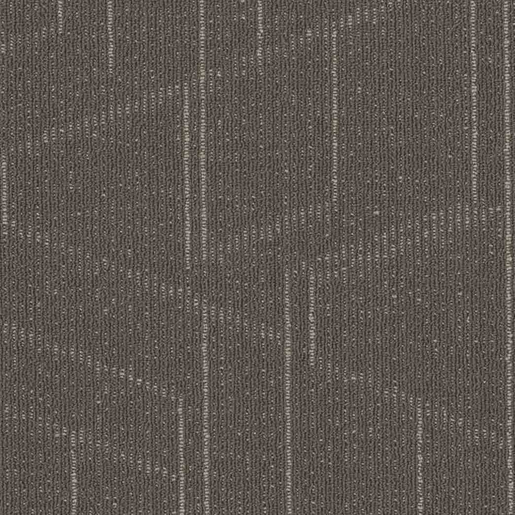 Shaw Philadelphia Commercial Carpet Tile Modernist 54945 Smart 00502
