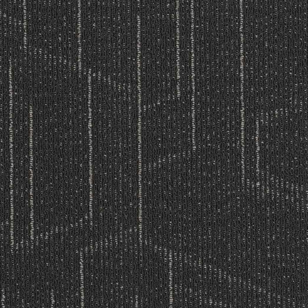 Shaw Philadelphia Commercial Carpet Tile Modernist 54945 Sophisticated 00505