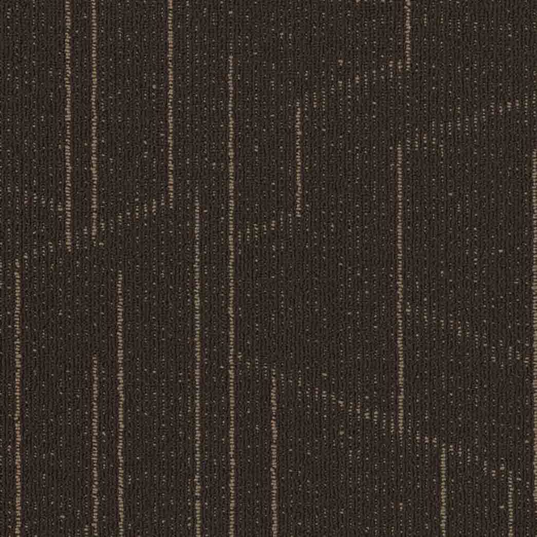 Shaw Philadelphia Commercial Carpet Tile Modernist 54945 Stylish 00705